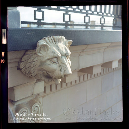Kodak Portra Professional 400 Medium Format Film