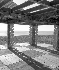 Ilford SFX Black & White Film