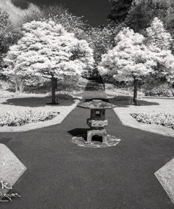 Rollei Infra-Red IR400 35mm