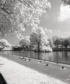 Rollei Infra-Red IR400 35mm