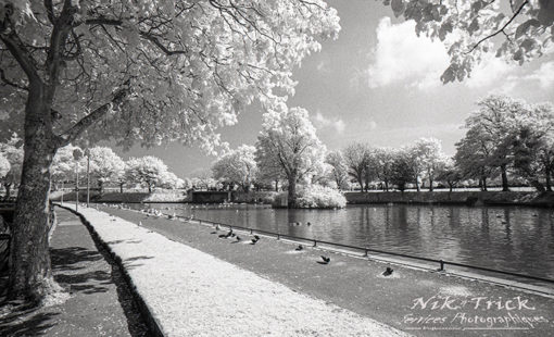 Rollei Infra-Red IR400 35mm