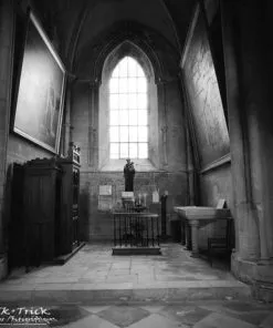 Ilford Delta 3200 Professional