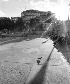 Ilford Delta 400 Professional in Hydrofen