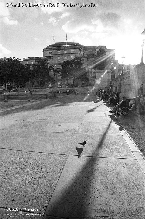 Ilford Delta 400 Professional in Hydrofen