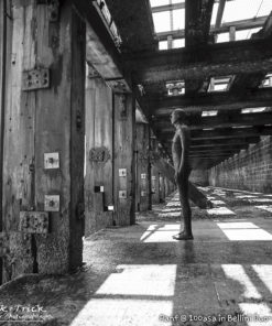 Ilford PanF 50asa 120 Roll