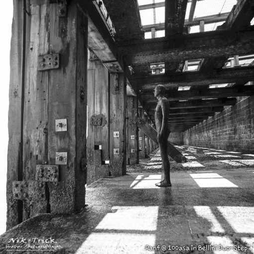 Ilford PanF 50asa 120 Roll