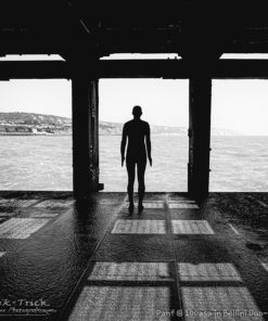 Ilford PanF 50asa 120 Roll