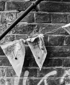 Kodak Double-X 5222 Black & White Film