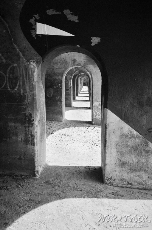 Ilford XP2 Super 35mm