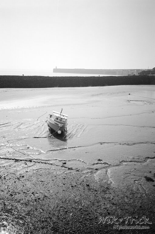 Ilford XP2 Super 35mm