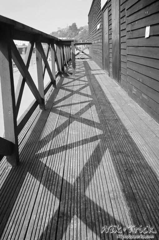 Ilford XP2 Super 35mm