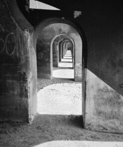 Ilford XP2 Super 35mm