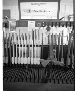 Kodak TMax 400 in BelliniFoto Eco-Film developer