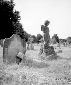 Rollei Ortho 25