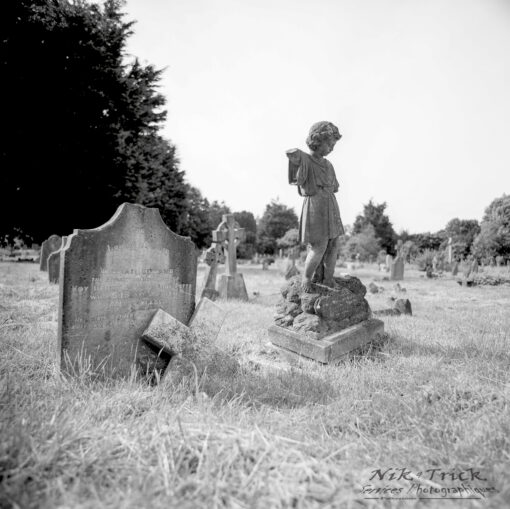 Rollei Ortho 25