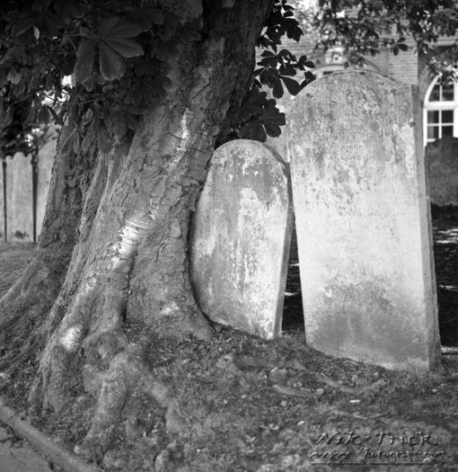 Adox CHS100 II Medium Format 120 Roll