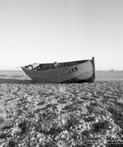 Rollei RPX 400 120 Roll