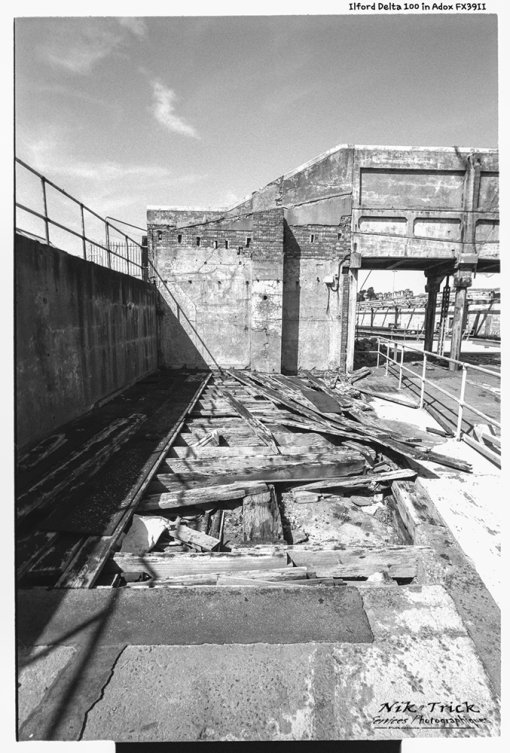 Ilford Delta 100 in Adox FX-39 II