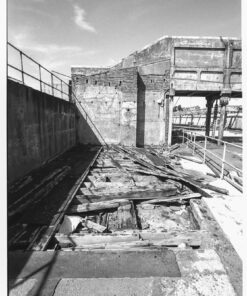 Ilford Delta 100 in Adox FX-39 II