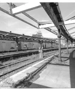 Ilford Delta 100 in Adox FX-39 II