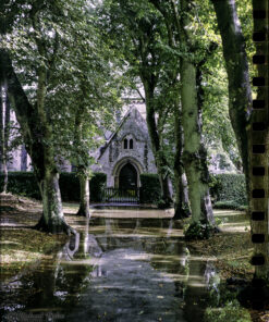 Kodak Vision3 250D via Nik & Trick C41 Add On