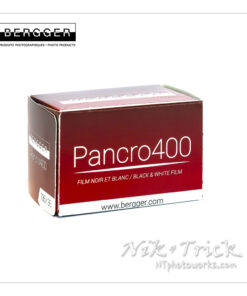 Bergger Pancro 400 35mm