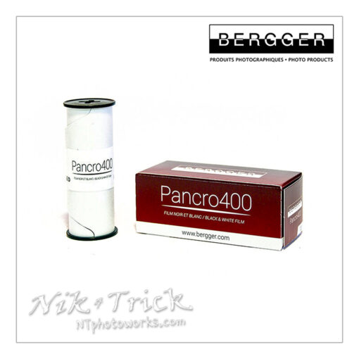 Bergger Pancro 400