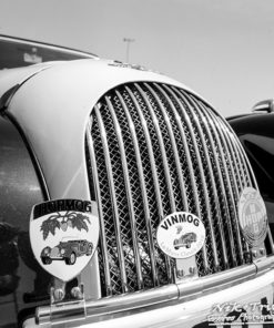 Ilford FP4 Plus 125asa B&W Film