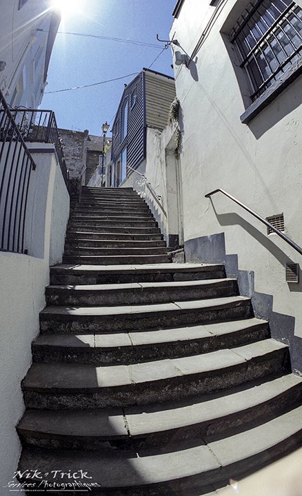 Kodak Portra Professional 400 35mm 36 Exposures