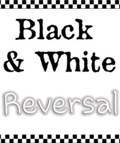 Black & White Reversal ~ Process ONLY ~ Under Trial!!