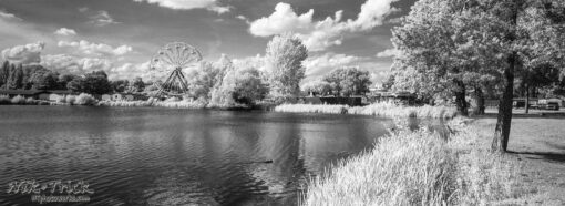 35mm Black & White Films for Xpan & Panoramic ~ Develop Only, Hand Process - Image 2