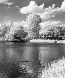 Rollei Infra-red in Fuji TX-1