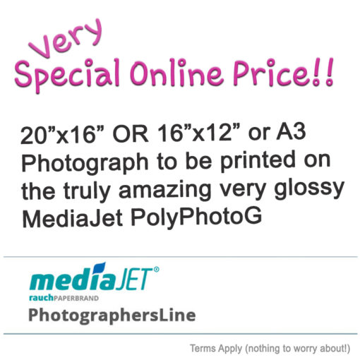 Pro Quality 20x16 or 16x12/A3 Photograph Made on the Amazing MediaJet PolyPhoto G