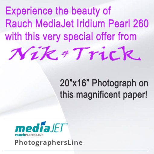 Beautiful 20x16 Photograph Made on the Lovely MediaJet Iridium Pearl 260