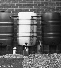 Bellini FX6a Monobath Ilford HP5 Plus 120 Roll