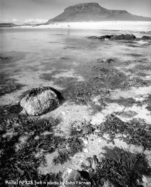 Rollei RPX25 Black & White Film Bellini FX6a Monobath