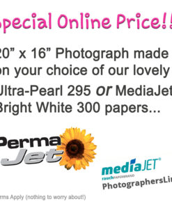 Pro Quality 20x16 Photograph Made on Ultra-Pearl