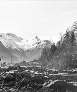 Kentmere 400 35mm in PMK Pyro