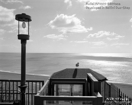 Rollei RPX 400 120 Roll BelliniFoto Duo-Step