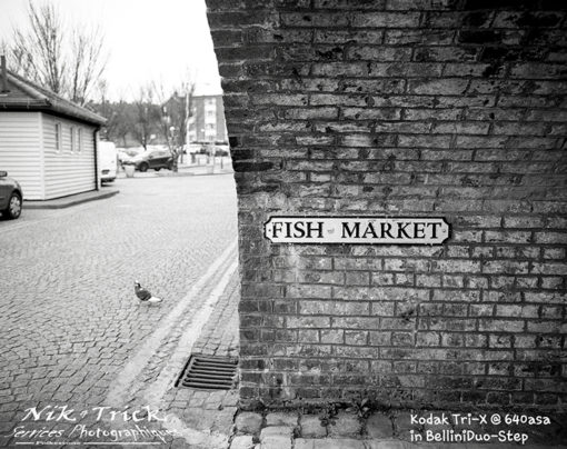 Kodak Tri-X 400 120 Medium Format BelliniFoto Duo-Step