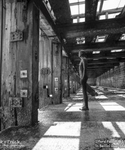 BelliniFoto Duo-Step