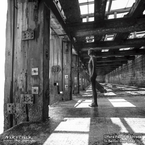BelliniFoto Duo-Step
