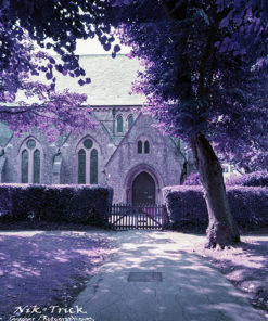 Lomochrome Purple XR Film
