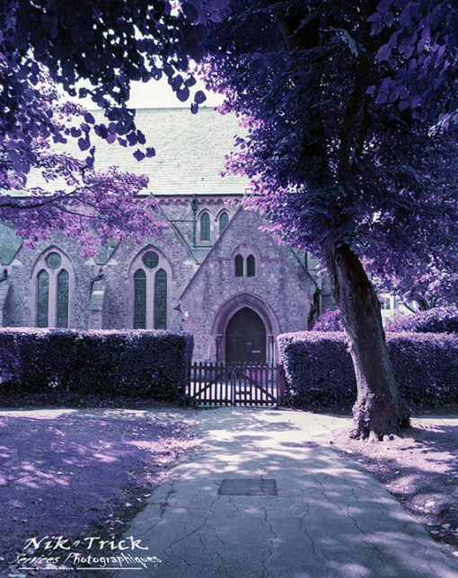 Lomochrome Purple XR Film