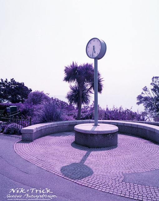 Lomochrome Purple XR Film