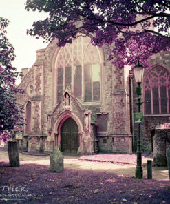 Lomochrome Purple XR Film