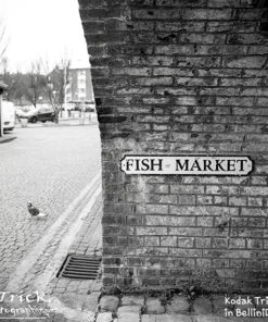 Kodak Tri-X 400 120 Medium Format BelliniFoto Duo-Step