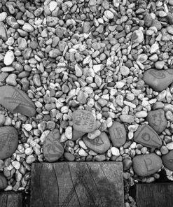 BelliniFoto Duo-Step aka Liquid Diafine