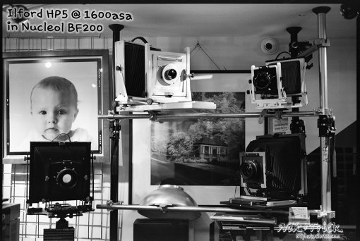 HP5 @ 1600asa in Nucleol BF200