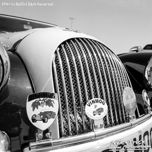 Ilford FP4 Plus 125asa B&W Film